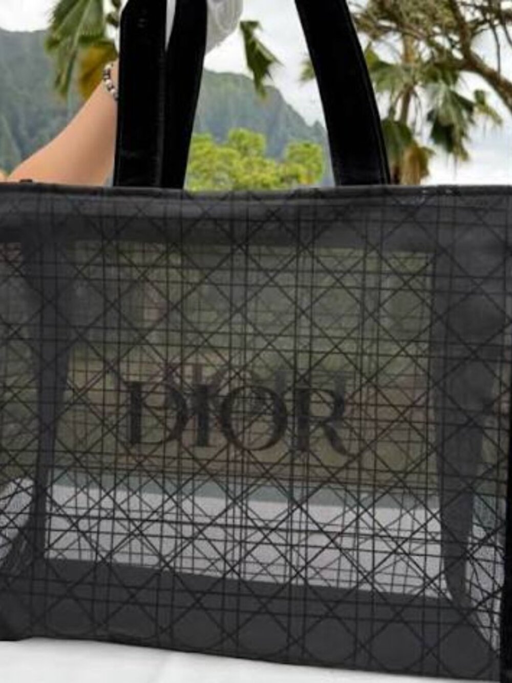 Dior Mesh Black Beauty, Sheer Cannage Pattern, Velvety Handles & Front Logo Nwt
